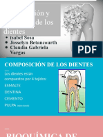 Composición y Estructura de Los Dientes (2) GRUPO 1