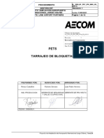 NL - 3000 - NF - PRC - IPK - NNA - HS - 000115 - Procedimiento Escrito de Trabajo Seguro PETS de Tarrajeo de Bloquetas - Rev.1