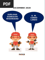 DDS Diciembre 2020