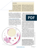 GENESER Histologia 4a Ed 3