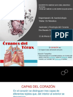 Anatomía y Fisiología Del Corazón