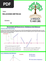 SRC Edu164 Modulos Estatico PDF 62155f91a0650247911431