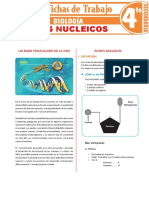 Acidos Nucleicos para Tercer Grado de Secundaria