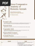 Gross Comparative Anatomy of Domestic Animals