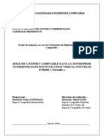 Memoire Expertise Comptable Final