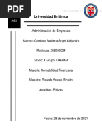 V. Pólizas - Angel Alejandro Gamboa Aguilera