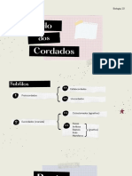 Filo Cordados