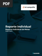 Reporte Individual Metas