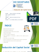 Reduccion Del Capital Social