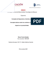 Ensayo. Controles y Tableros y Su Impacto en La Productividad. Rivera Torres Ketzally