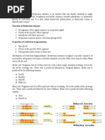 Restriction Enzymes: Restriction Enzymes Is An Enzyme That Cuts Double Stranded or Single