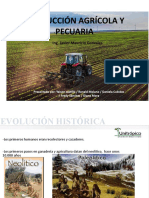 Produccion Agrícola y Pecuaria