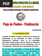 Flujo de Fluidos - Fluidizacion - 2021 I