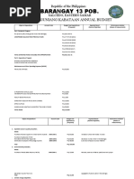 Barangay 13 Pob.: Sangguniang Kabataan Annual Budget