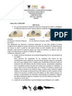 5 Lab - Vertebrados - Reptiles Jessica Roa 1-2