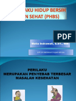 Perilaku Hidup Bersih Dan Sehat Phbs