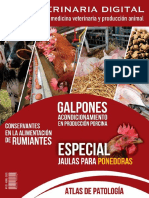 Magazine ES 03 VeterinariaDigital 2020