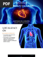 Anatomía Del Corazón