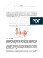 Nvestigar Sobre La Clasificación de La Hidronefrosis y Sus Causas