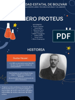 Proteus Exposicion