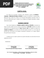 Carta Aval Darwin Portillo