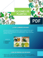 Infusiones Plantas Word