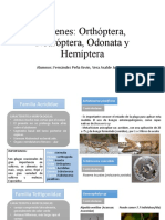 Parte1 - CARACTERISTICAS DE ORDENES DE INSECTOS