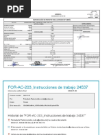 FOR-AC-203 - Instrucciones de Trabajo 24537 - Firmado