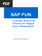 Sap Fun - Sap PM