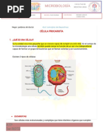 Estructura Bacteriana I