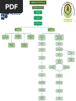 Mapa Conceptual Circular