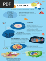 Infografia Celula