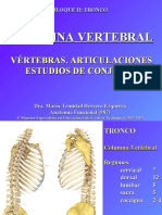 2 Tema Columna Vertebral 10-X