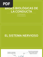 Bases Biol Gicas de La Conducta