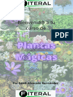 Plantas Magicas Curso 3.0 Con Marca de Agua