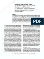 1984 Schlissel Virus-Transformed Pre-B Cells Show Ordered Activation But Not Inactivation of Immunoglobulin Gene Rearrangement and Transcription