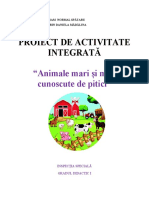 Proiect de Activitate-Is Gradul I-Marin Madalina 10.02.2022 - Copie