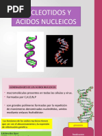 NUCLEOTIDOS y Acidos Nucleicos