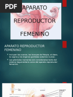 Aparato Reproductor Femenino