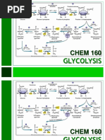 11 Glycolysis