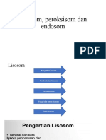 Lisosom, Peroksisom, Endosom