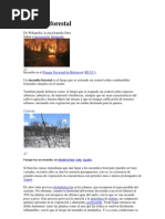 Incendios Forestales