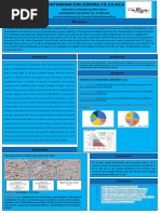 Contaminacion Sonora