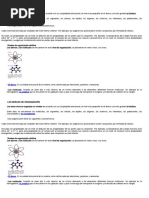 Los Niveles de Organización - 2022