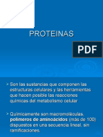 Tema de Proteinas Completo