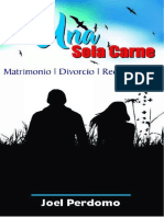 Una Sola Carne Matrimonio Divorcio Recasamiento - Joel Perdomo