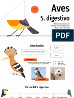 Sistema Digestivo Aves