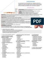 Sistema Respiratorio