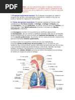 Teoría Aparato Respiratorio