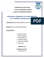 AUDITORIA AMBIENTAL - PROMAPLAST - Version Final G6